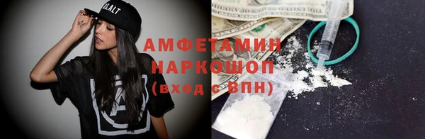 индика Алзамай