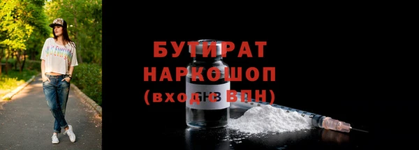 индика Алзамай