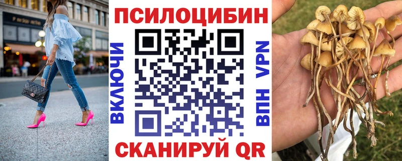 Галлюциногенные грибы Magic Shrooms  Хвалынск 